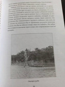 Дэвид Аттенборо: Путешествия натуралиста. Приключения с дикими животными