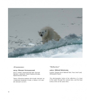 Россия - самая красивая страна. Фотоконкурс 2018