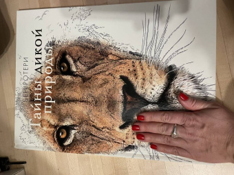 Бен Ротери: Тайны дикой природы