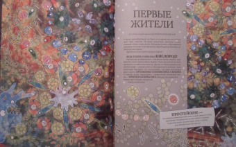 Катажина Баерович: История жизни на Земле