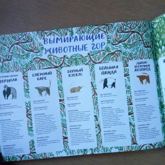 Изабелла Баннелл: На грани исчезновения