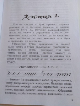 Д. Писаревский: Почерк. Каллиграфия. 113 практических упражнений