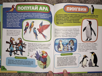 Анна Забирова: Птицы для самых маленьких