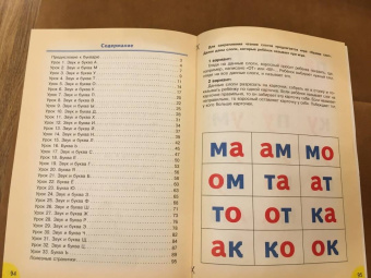 Елена Останина: Буквы я запомню сам. Букварь для дошкольников (с методическими указаниями)