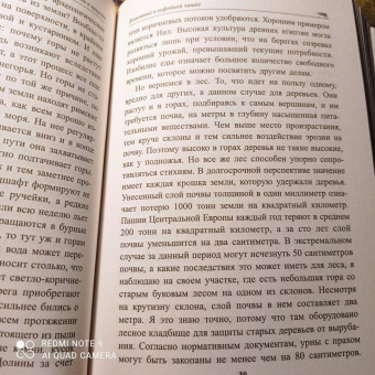 Петер Воллебен: Тайные связи в природе