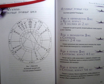 Эми Хэрринг: Астрология Луны. Освещающее путешествие по знакам и Домам