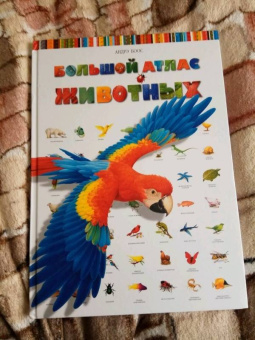 Селин Потард: Большой атлас животных