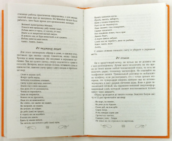 Ангелина Райс: Большая книга заговоров