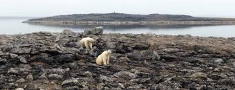 Леонид Круглов: Архипелаги Арктики. Панорам высоких широт