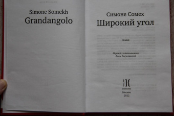 Симоне Сомех: Широкий угол