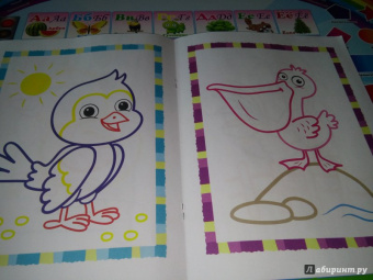 Первые птички. Книжка-раскраска