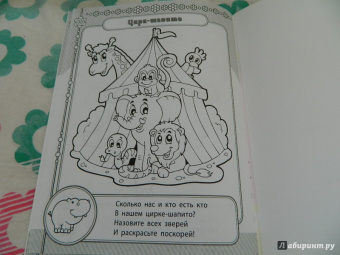 Сергей Гордиенко: Веселый цирк