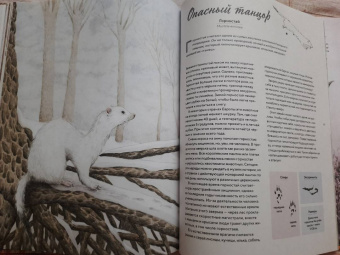 Стегман, Янсен: Наши соседи по планете. Рассказы о диких животных