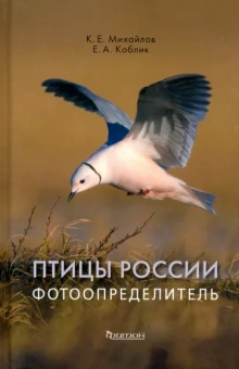 Коблик, Михайлов: Птицы России. Фотоопределитель