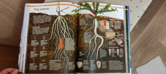 Малиция, Сориано, Фернандес: Тайны планеты Земля. Большая иллюстрированная энциклопедия