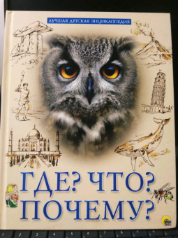 Людмила Соколова: Что? Где? Почему?