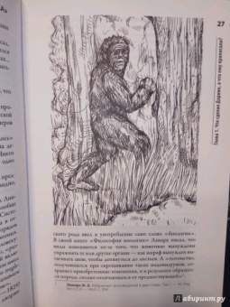 Андрей Буровский: Разные человечества. "Эволюция. Разум. Антропология"