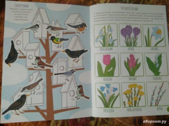 Елизавета Бухалова: Весна. Моя книга игр с наклейками