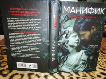 Тимур Темников: Манифик
