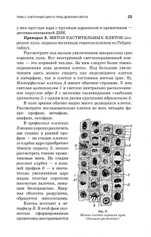 Вракин, Сидорова, Панов: Практикум по анатомии и гистологии с основами гистологии и эмбриологии сельскохозяйственных животных