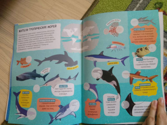 Сергей Петрушин: Детский атлас подводного мира с наклейками