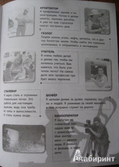 Елена Шейнина: Профессии