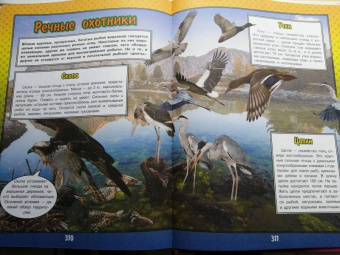 Ликсо, Кошевар: О подводном мире