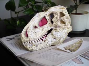 Дугал Диксон: Тираннозавр рекс. Интерактивная книга-панорама