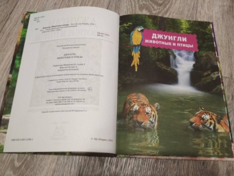 Джунгли. Животные и птицы