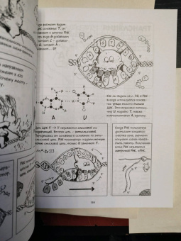 Гоник, Весснер: Биология. Краткий курс в комиксах