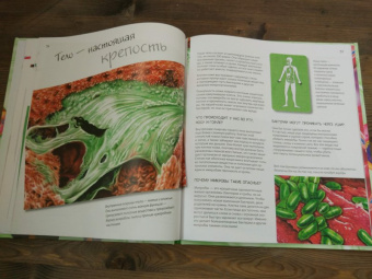 Боэрле, Ланда: Путешествие в мир клетки. Нескучная наука