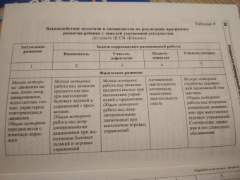 Басангова, Мартыненко, Баранова: Специальная индивидуальная программа развития для детей с нарушением интеллекта