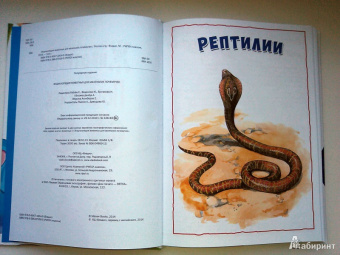 Энциклопедия животных для маленьких почемучек