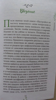 Мелисса Альварес: Маленькая книга духовных животных