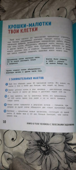 Кэти Стоукс: Книга о теле человека с полезными заданиями и упражнениями