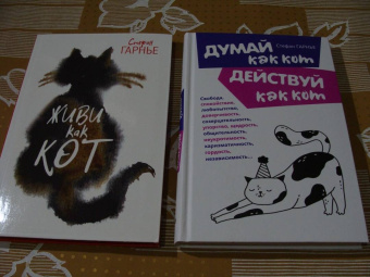 Стефан Гарнье: Думай как кот, действуй как кот