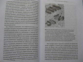 Ник Лэйн: Митохондрии и смысл жизни. Энергия, секс, самоубийство