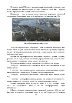 Александр Ветошкин: Организация защиты населения и территорий. Учебное пособие
