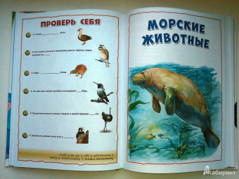 Энциклопедия животных для маленьких почемучек