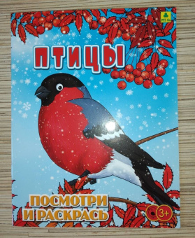 Птицы. Детская раскраска
