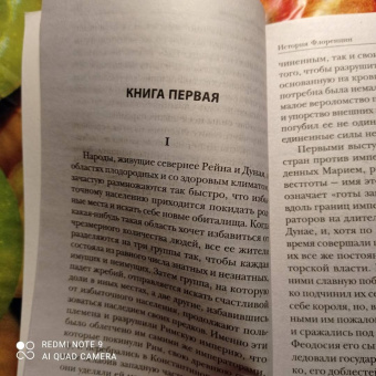 Никколо Макиавелли: История Флоренции