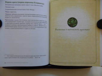 Пейдж Вандербек: Green Witchcraft. Как открыть для себя магию цветов, трав, деревьев, кристаллов и многое другое