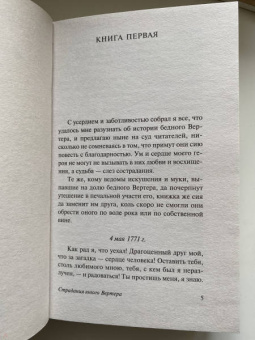 Иоганн Гете: Страдания юного Вертера