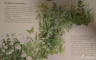 Анатолий Тумбасов: Телеграмма