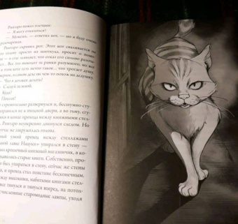 Сосукэ Нацукава: Кот, который любил книги:  ранобэ