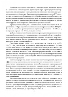 Виктор Забурдяев: Выработанные пространства метанообильных угольных шахт. Монография