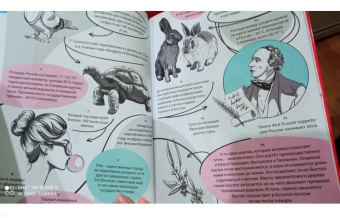 365 фактов обо всем на свете. Энциклопедия на каждый день