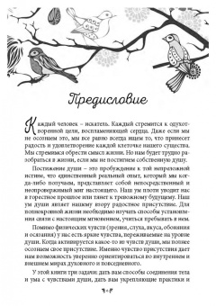 Нил Лундгрен: Медитации для души