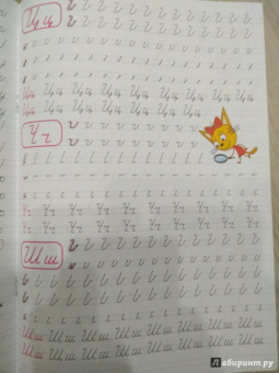 Три кота. Каллиграфические прописи. Буквы и цифры