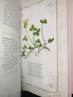 Дэвис, Сондерс: Тайный язык цветов